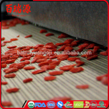 Beneficios de las bayas de Goji y beneficios de las bayas de Goji efectos secundarios para las bayas de Goji del cabello medicina tradicional china